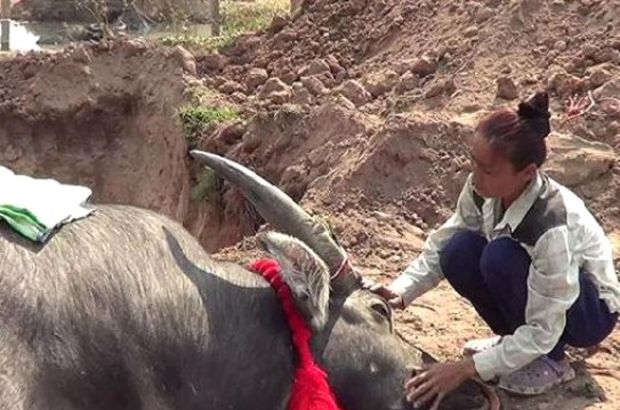 ankarasektorel.com/manda-prens-ol…