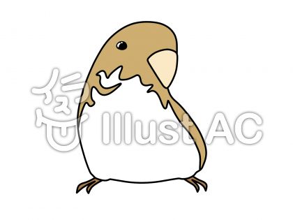 インコイラストのtwitterイラスト検索結果