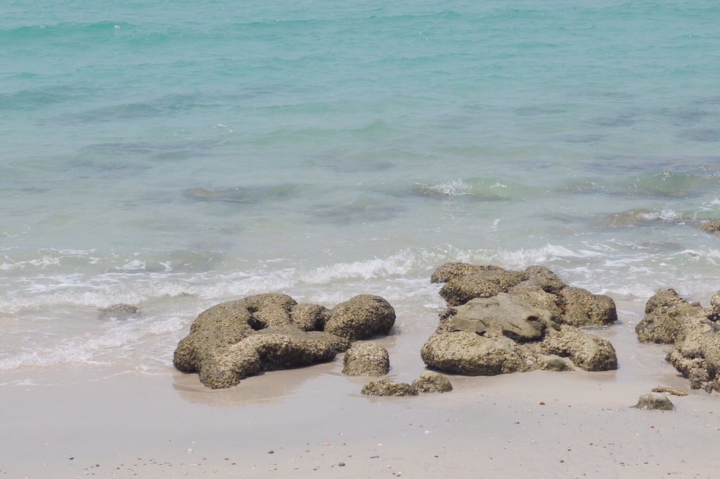 chjorjuuuui's tweet image. เกาะสีชัง ชลบุรี
เกาะสวย น้ำใส คนไม่เยอะ ควรค่าแก่การพักผ่อน #ReviewThailand