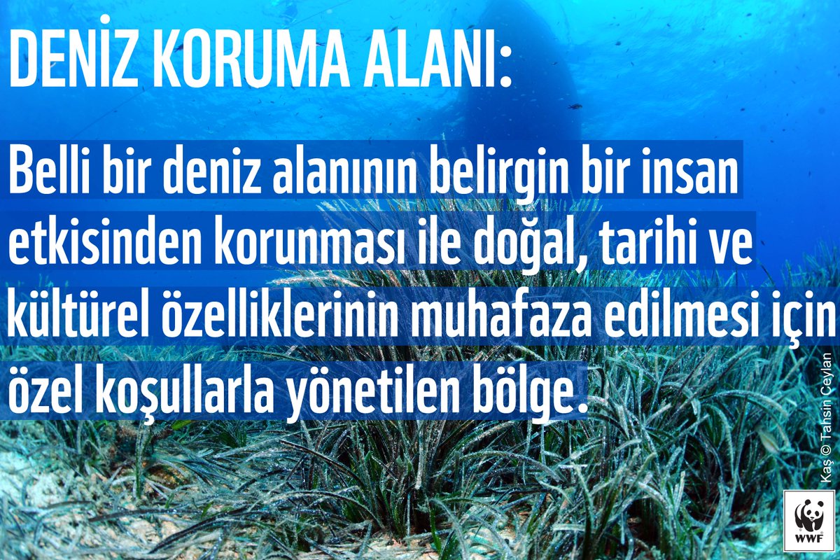 WWF_TURKIYE's tweet photo. #DoğaSözlüğü https://t.co/Ye6GQhBX6h