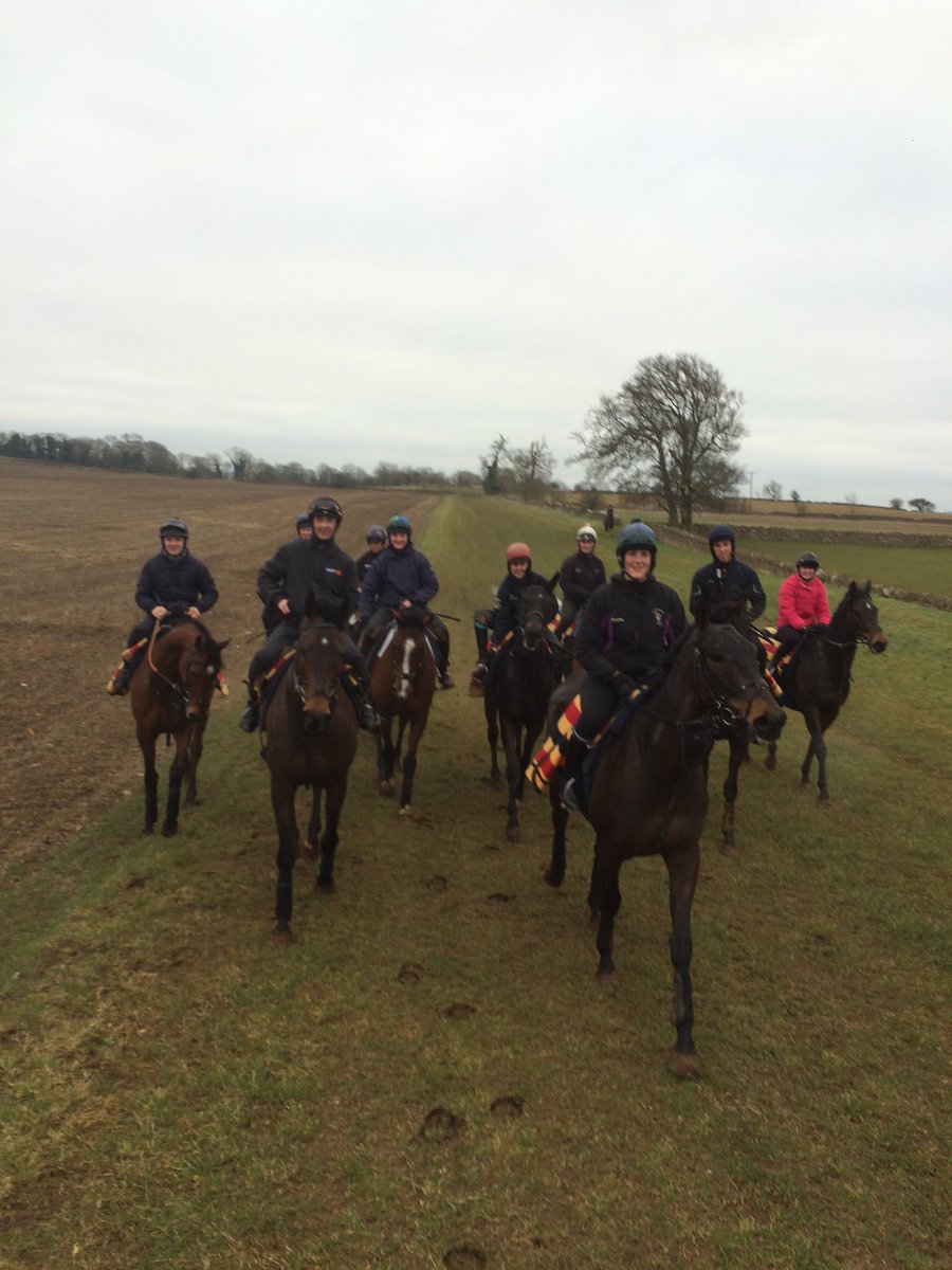 The <a href="/cheltenham/">Cheltenham</a> festival team and a few babies loved their morning cantering around Banks Fee Farm today. #bouncing