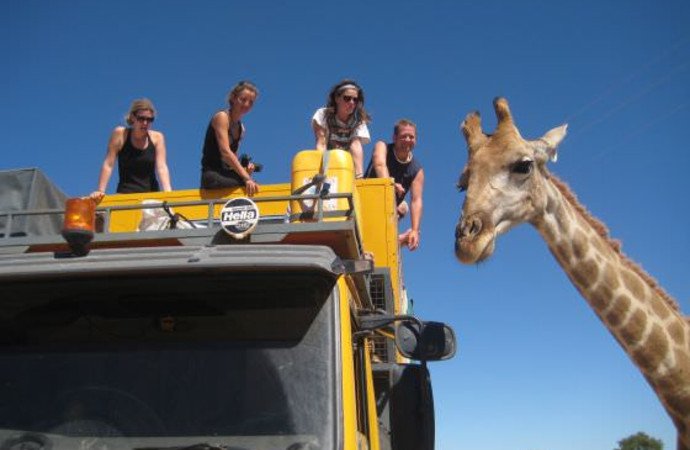 oneworld365's tweet photo. Top reasons to book a tour with @OasisOverland https://t.co/Q6pLqTtH1l https://t.co/la3bEIGcFY