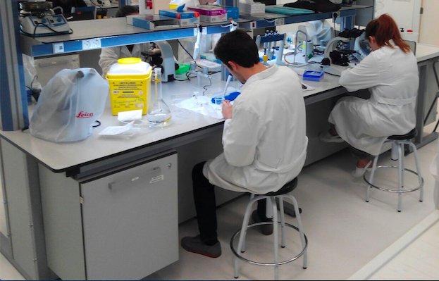 Farmacia_USJ tweet media