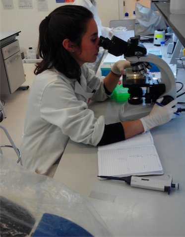 Farmacia_USJ tweet media