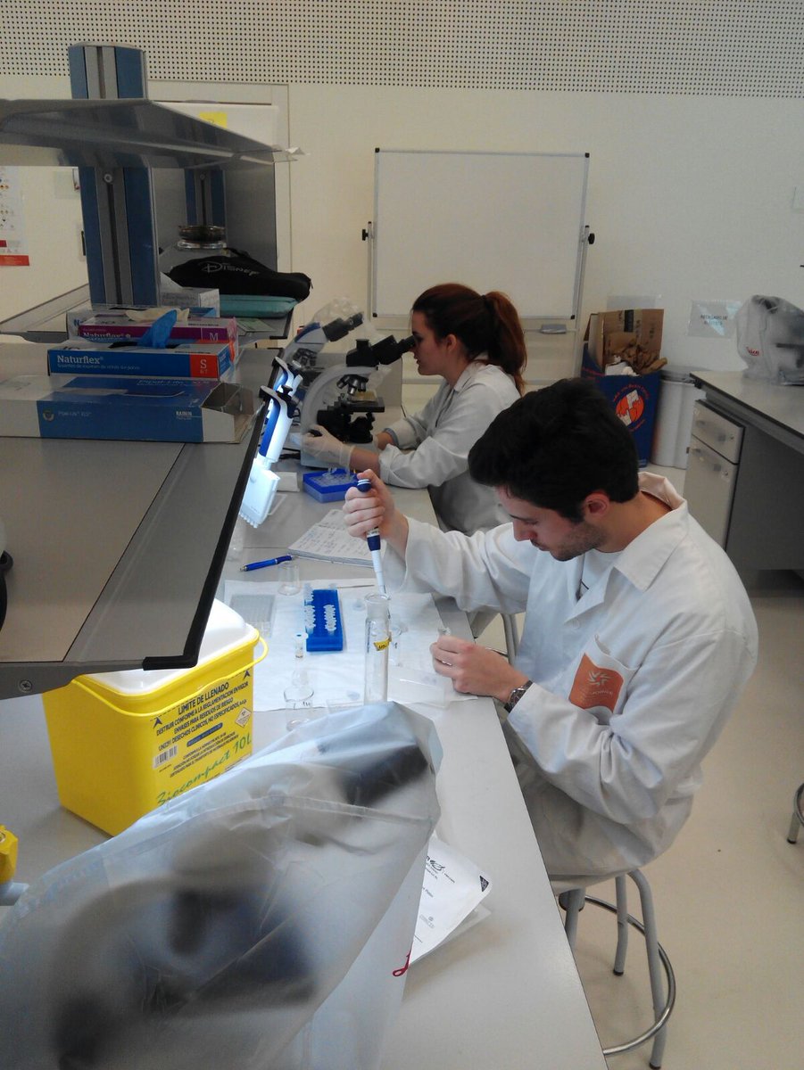Farmacia_USJ tweet media
