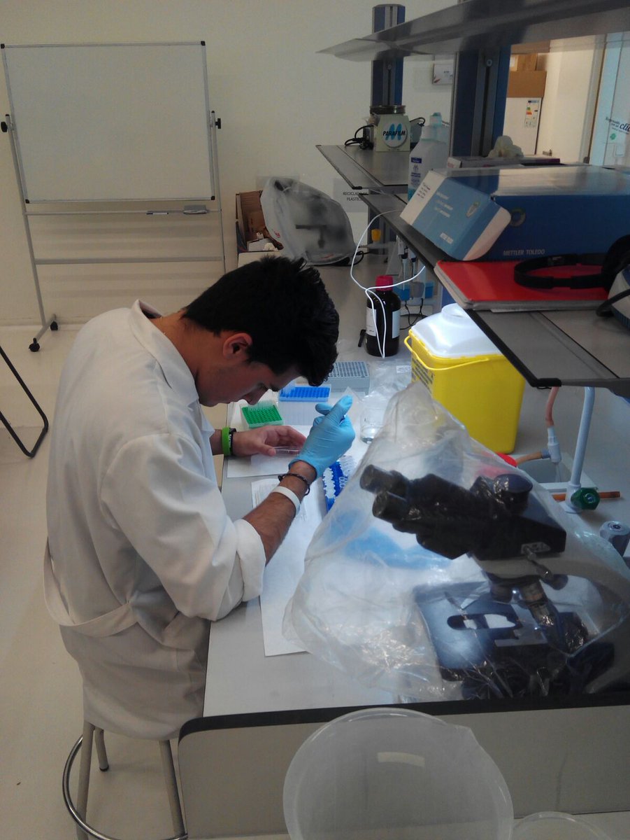 Duro día de trabajo en el desarrollo de las tesis doctorales de <a href="/FarmaciaUSJ/">Farmacia_USJ</a> <a href="/AzefUSJ/">AZEF - USJ</a> <a href="/BeatrizGinerP/">Beatriz Giner</a> <a href="/_usj_/">Universidad San Jorge</a>