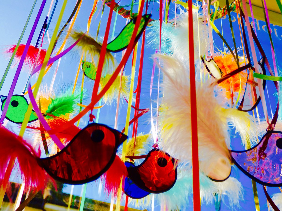 A sunny day in Deal, vibrant feathered bird display here at the studio - sure to make you smile! #Spring #Easter