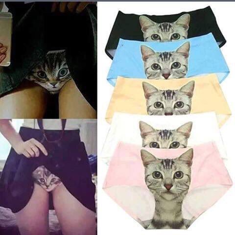 RUDEDOG_74's tweet photo. @BMS_Billy @BMS_Derek @BMS_Nard Billy has kitty panties for each day of the week. https://t.co/e162uVmrbS