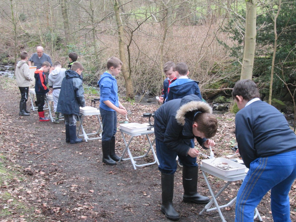 LauriestonPS's tweet photo. P5 releasing the trout at Westquarter Glen and finding other creatures in the water. #fishintheclassroom https://t.co/GkRG2xMt4q