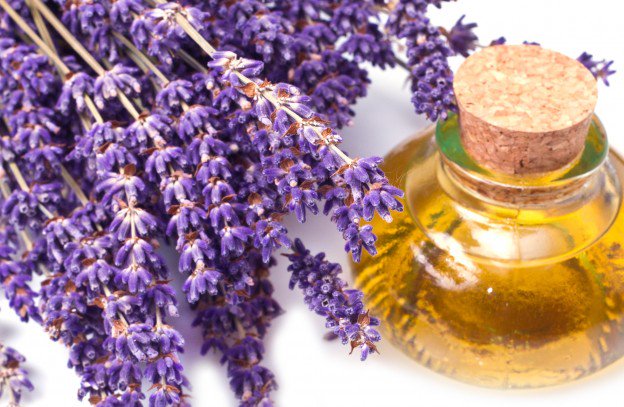WCHCSuffolk's tweet photo. 6 natural ways to get to sleep including lavender #aromatherapy https://t.co/B8ayWckfux https://t.co/1K4grq5pVH