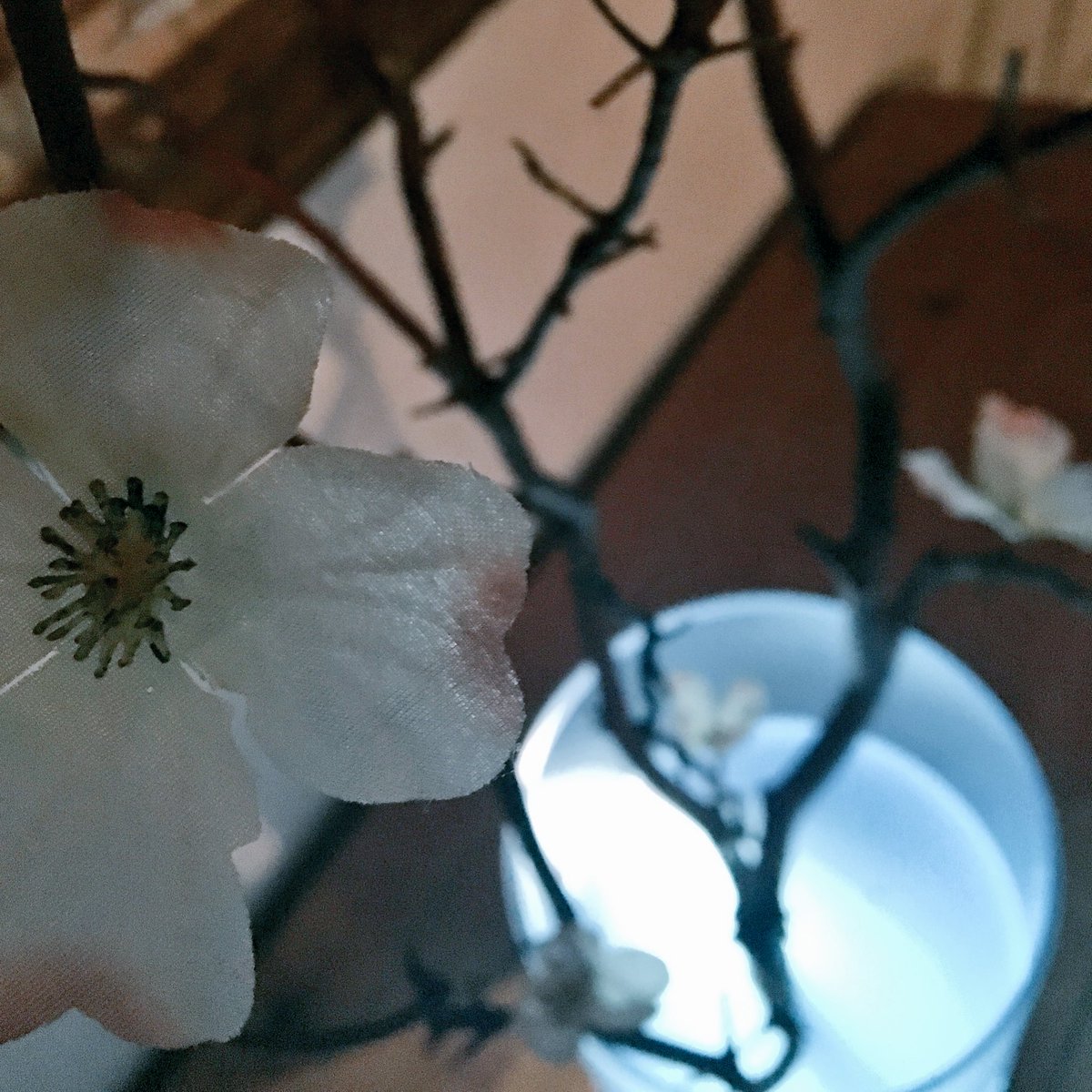Rav_Arrangement's tweet photo. Peach Blossom Paradise. 

Complete with a submergible LED light, this item is sure to blow guests out of the water! https://t.co/Bl5d63TTG4