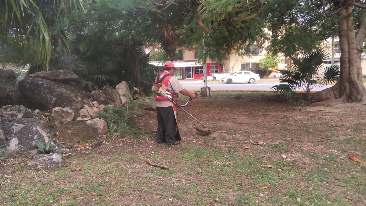 Trabajos de limpieza en camellones y banquetas de #AvPalenque #ResultadosQueTransforman <a href="/AytoCancun/">Ayto Benito Juárez</a> <a href="/VivoEnCancun/">Vivo en Cancún 🏖️</a>