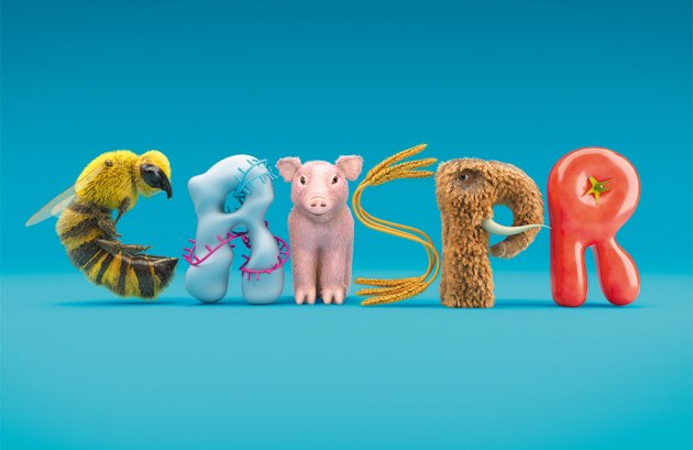 NatureBiotech's tweet image. CRISPR everywhere: @NatureNews explores what it means to be living in an age of gene editing nature.com/news/crispr-ev…