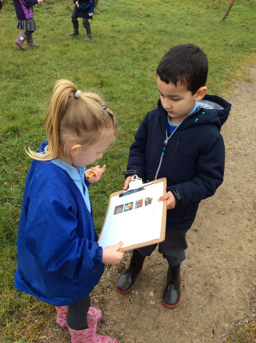 mbk_yr's tweet photo. In outdoor learning today we've been making nature tally charts!#howmanygates #howmanydaffodils #workingtogether 🌼🌼 https://t.co/r4f7MY2dXp