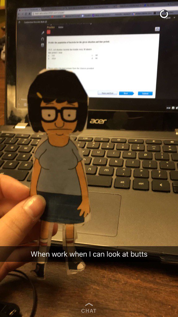 realflattina's tweet photo. #flattina takes on Edgenutiy with Emu #bestfriendgoals https://t.co/CqBPdgcb7w