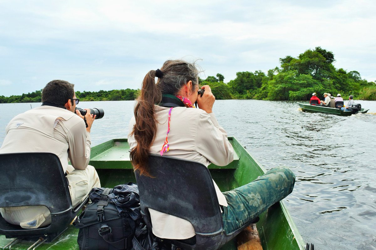 CampecheTravel's tweet photo. Toma tus binoculares o tu cámara fotográfica y lánzate a la aventura natural que #Campeche tiene para ti. https://t.co/ltlhJZ8DK8