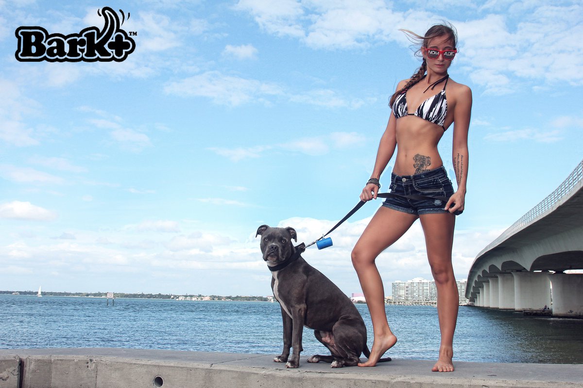 barkplus's tweet photo. Stay cool everybody and #PickUpThatPoo!  #dogs #pets #dogpoop https://t.co/3xRPFEJs7u