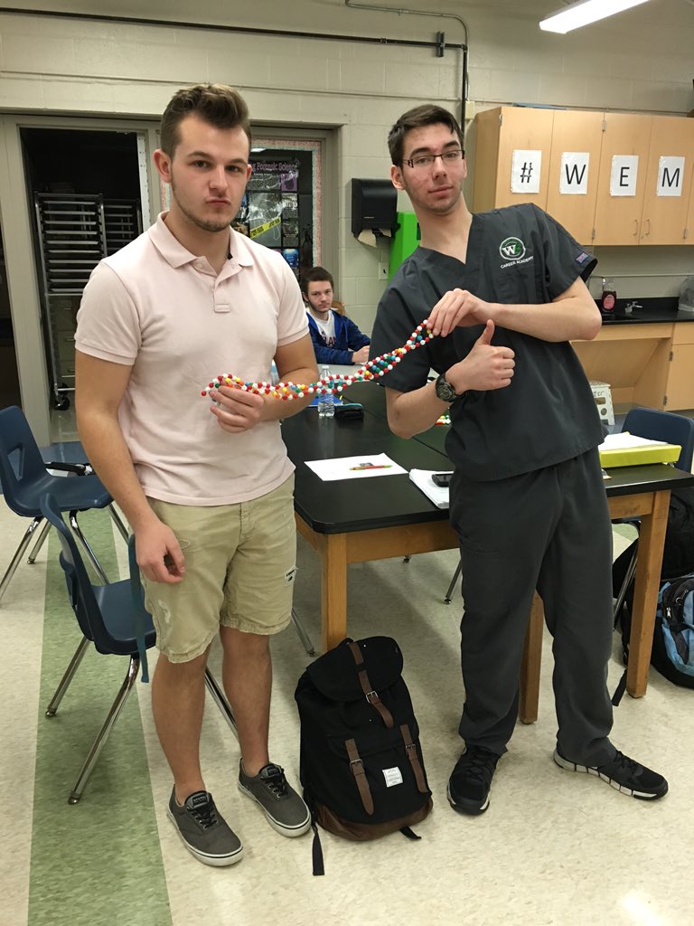 MrsRegovich's tweet image. Making a double helix learning about DNA Fingerprinting!! #forensicfun