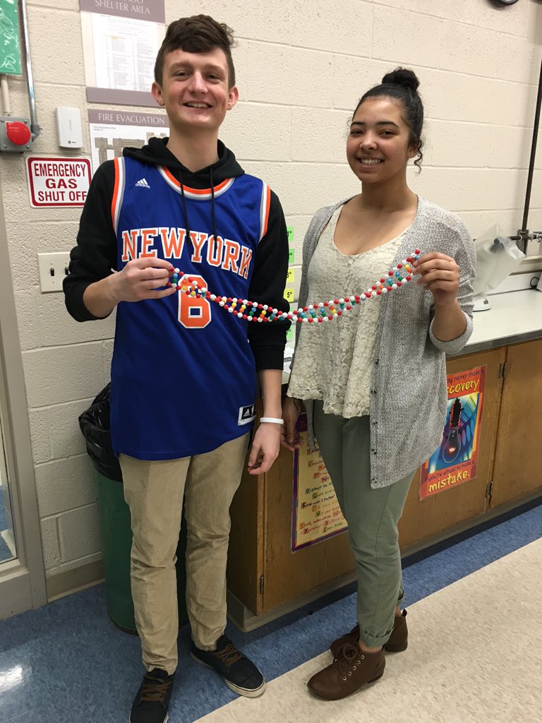 MrsRegovich's tweet image. Making a double helix learning about DNA Fingerprinting!! #forensicfun