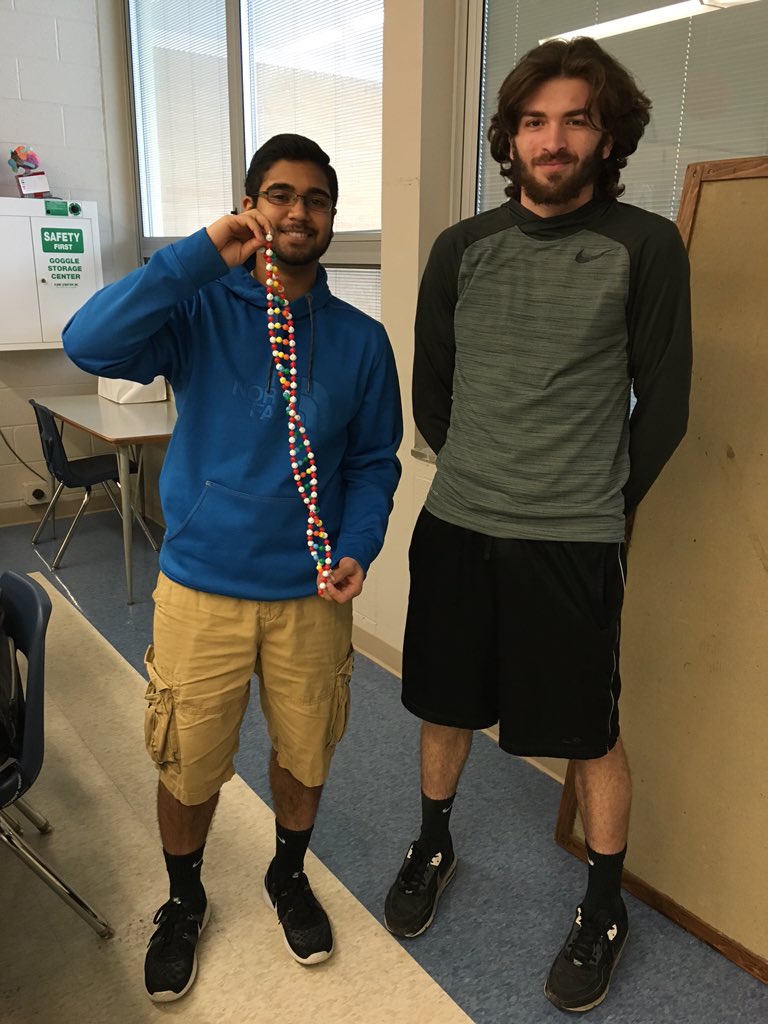 MrsRegovich's tweet image. Making a double helix learning about DNA Fingerprinting!! #forensicfun