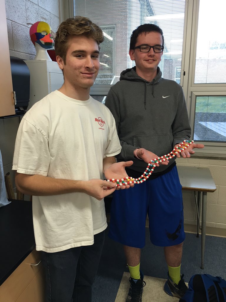 MrsRegovich's tweet image. Making a double helix learning about DNA Fingerprinting!! #forensicfun