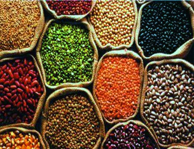 arden_esqueda's tweet photo. #DYK @UNFAO declared 2016 International Year of #Pulses! Try recipes from @PulseCanada https://t.co/Z7bigrfC7L https://t.co/7ChqhBeKUG