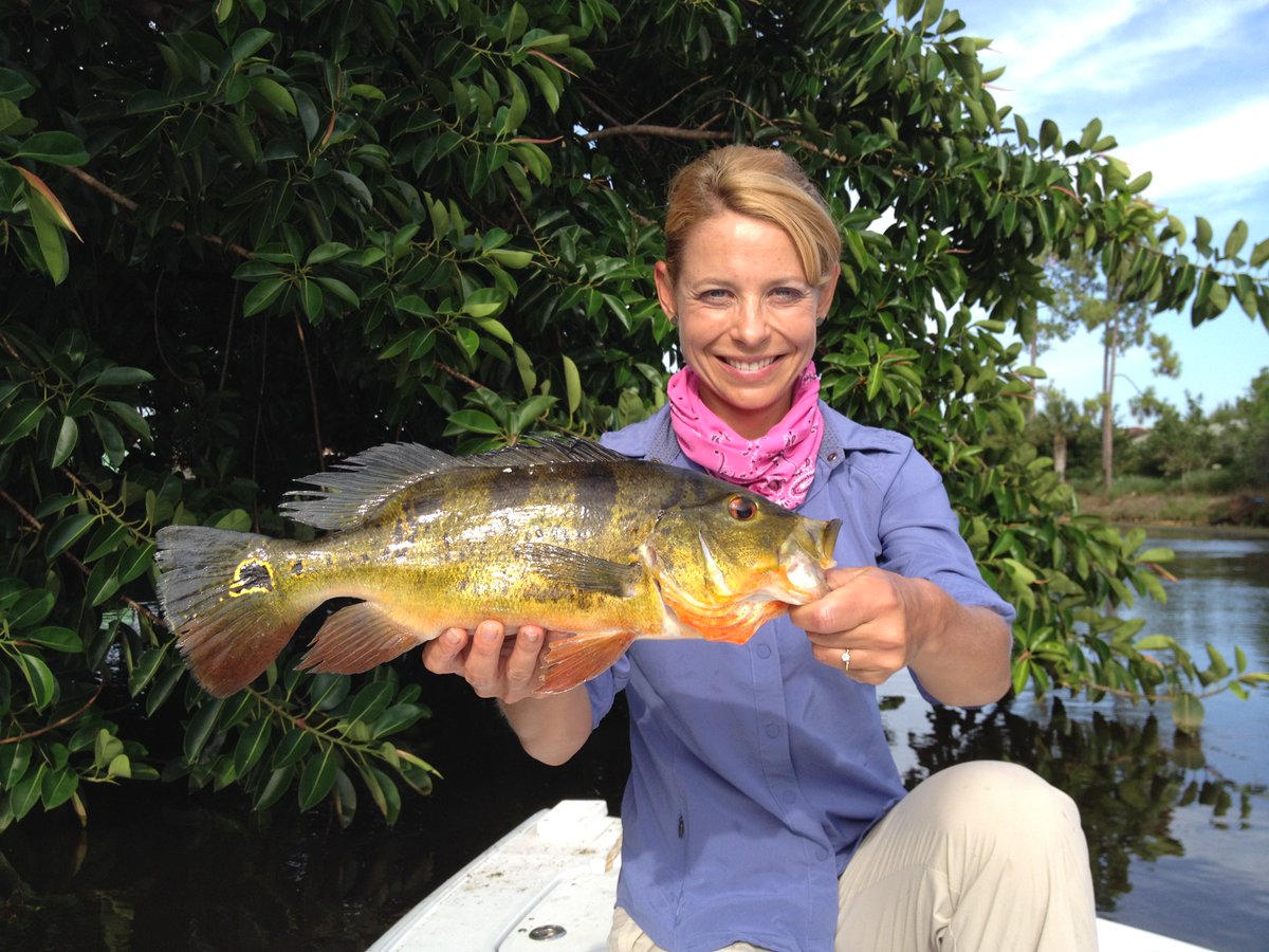 Debbie Hanson tweet media