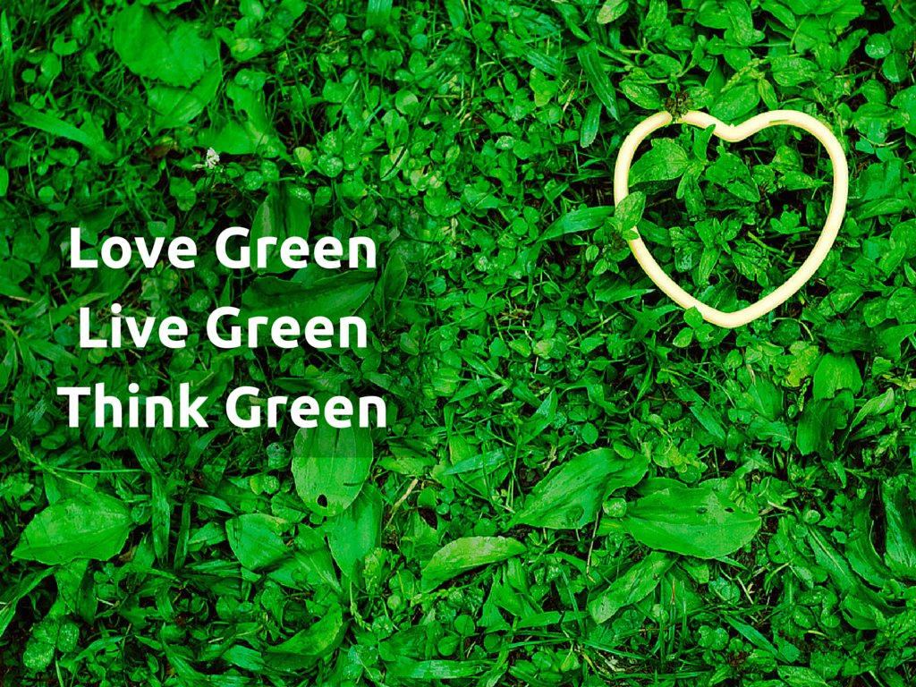 Top 165+ caption for green dress best seven.edu.vn