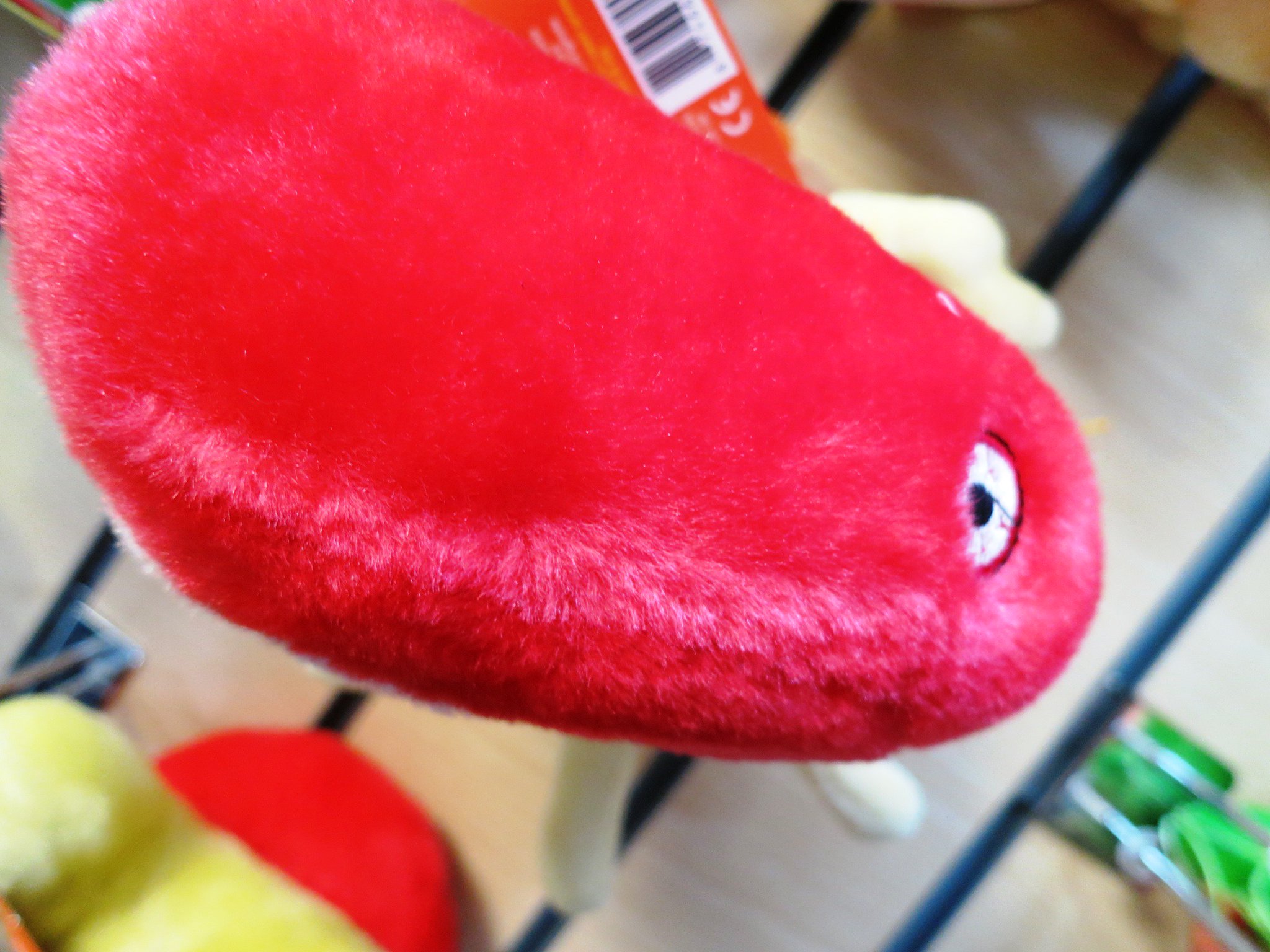giant microbes rabies