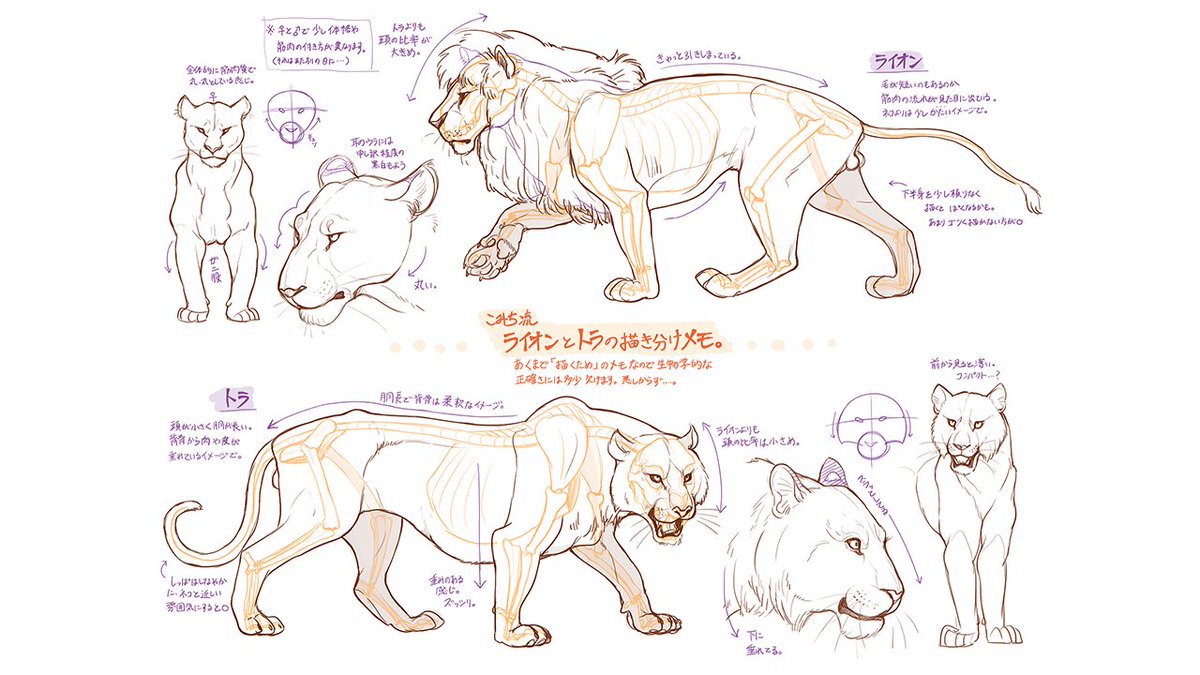 お絵かき講座パルミー 7周年イラコン開催中 Pa Twitter 楽しくマスター 似ている動物の描き分け方講座 では動物の特徴がよくわかる講座になっています 研究ノートがとっても参考になりますー ੭ W ੭ T Co U59mh04lcz T Co Uzc8lw3vyw