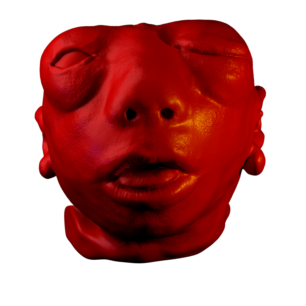 ValerioRizzo_'s tweet photo. #First #photogrammetrical #high-res #3D #reconstruction of #anencepghalic #phoetus @ Museum of Pathological Anatomy https://t.co/4LloFFLJe2