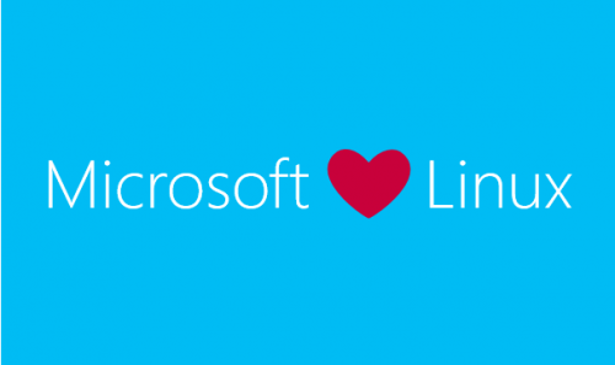 linuxpreview's tweet photo. #Microsoft anuncia software basado en #Debian para #networking https://t.co/AazPsE6A7v  #Linux https://t.co/sfDCXIG1Yl