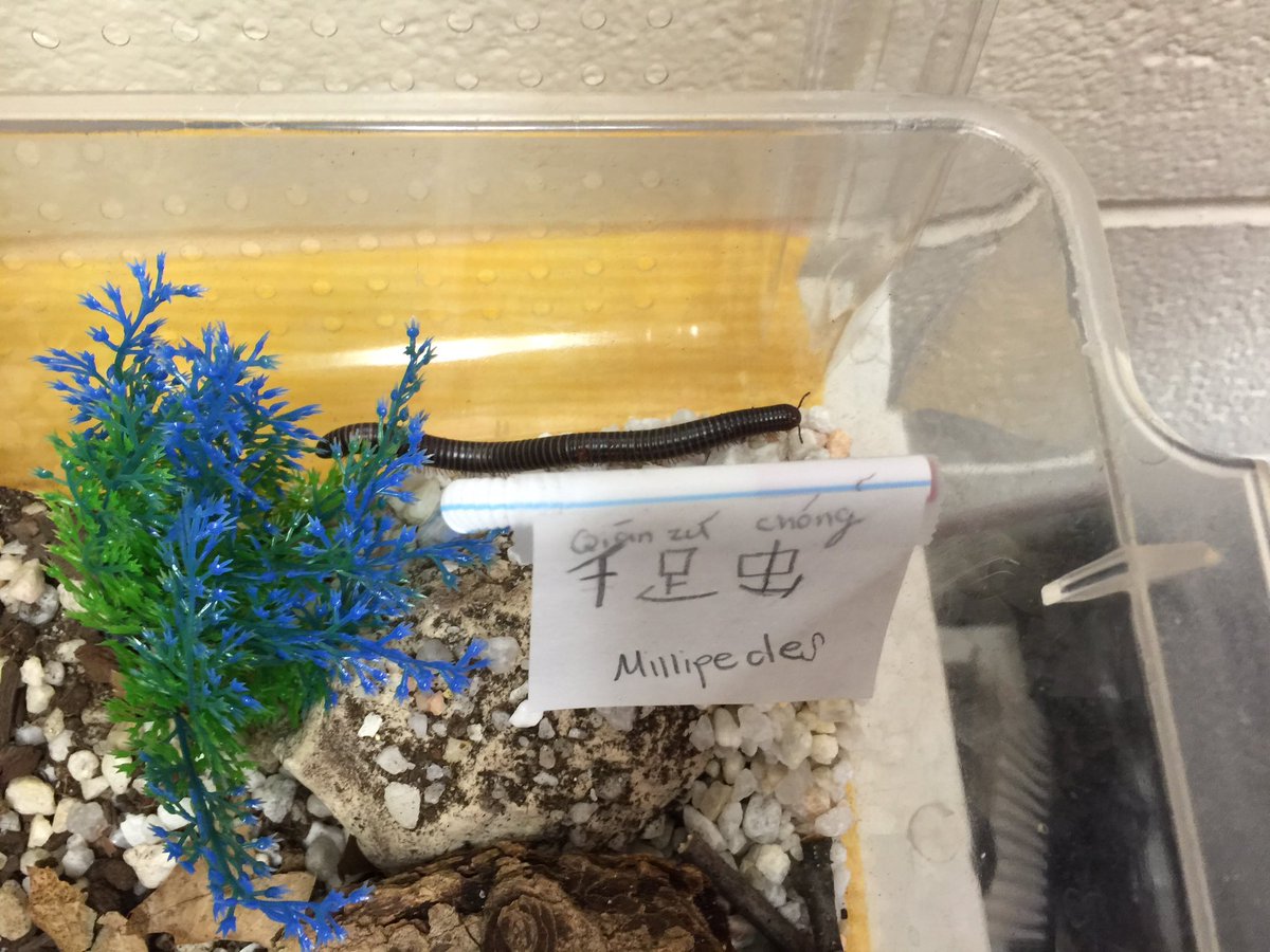 More animal research.