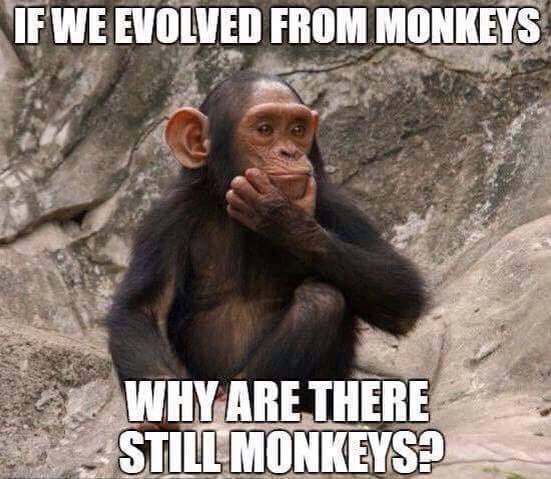 connyoneill's tweet photo. Just when I thought humanity couldn't get any more fucking retarded..... https://t.co/5Ded5jIxVa