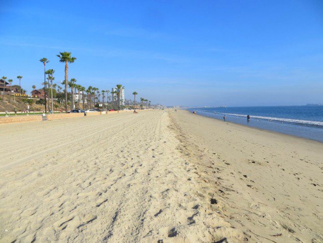 lbahc's tweet photo. This warm weather makes a #beach day at Long Beach City Beach a perfect (and free!) way to spend the day! #LBAHC https://t.co/Fm43784eWQ
