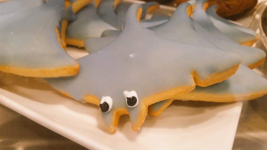vanaqua's tweet photo. RT @ShawnaLittle: Rays cookies to celebrate opening of new sting ray touch pool at  #vanaqua today at 11am. # yippee https://t.co/FktcKc8VX4