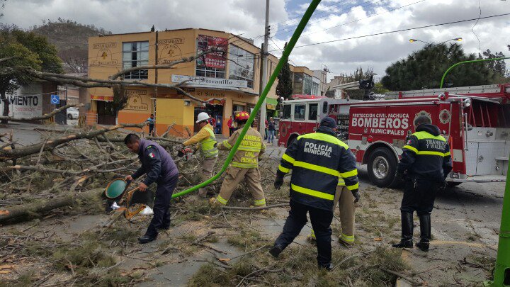 E_PadillaH's tweet photo. Se trabaja en caída de árbol sobre av. Madero, altura parque Hidalgo cerrada la circulación @TransitoPachuca https://t.co/QN7J9uXEd2