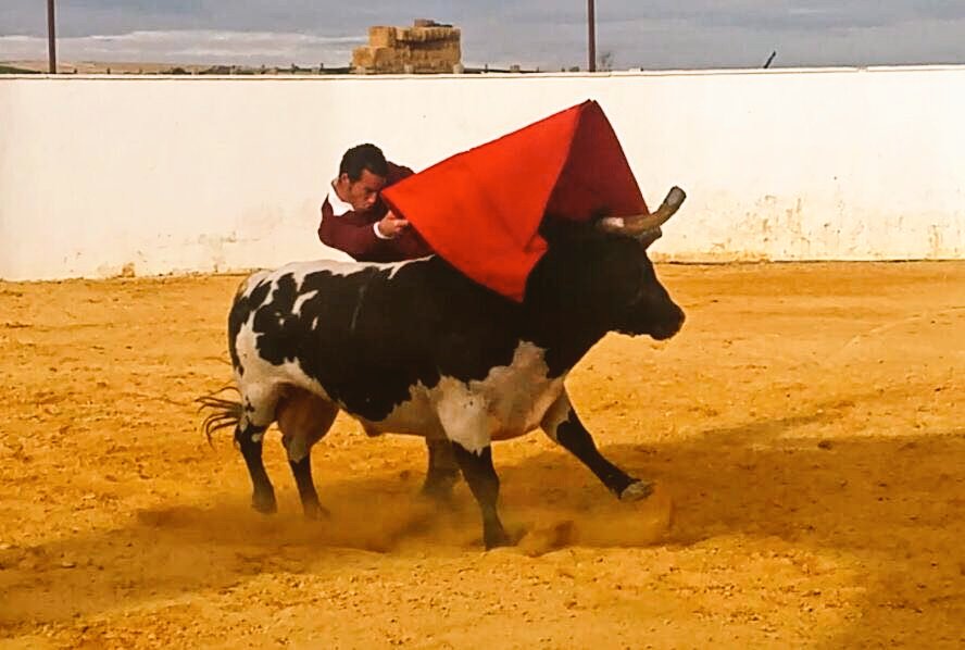 Os dejamos algunas imágenes del toro indultado en el campo por <a href="/PPMoral/">Pepe Moral</a> 

Ganadería de <a href="/JodaryRuchena/">Jodar y Ruchena</a>