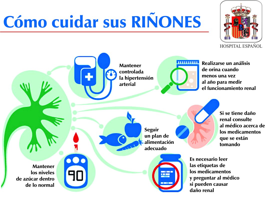 Cuida de tus riñones también en verano