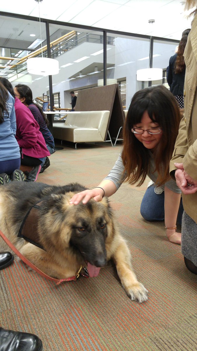MasterSprtn117's tweet photo. #SpringBark2016 #LewisLibraryPaws https://t.co/Z2gDDOsvD7