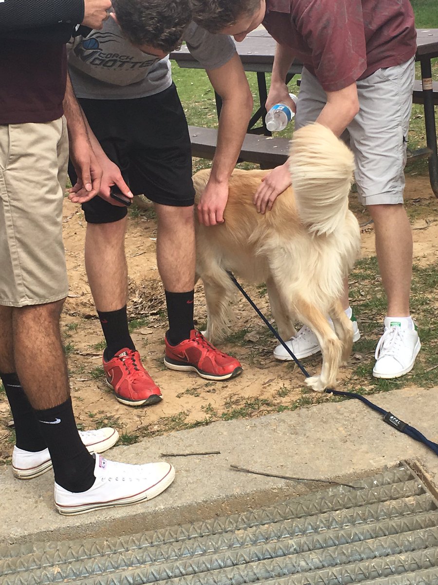 Stress less, laugh more! Dog day at Mason!