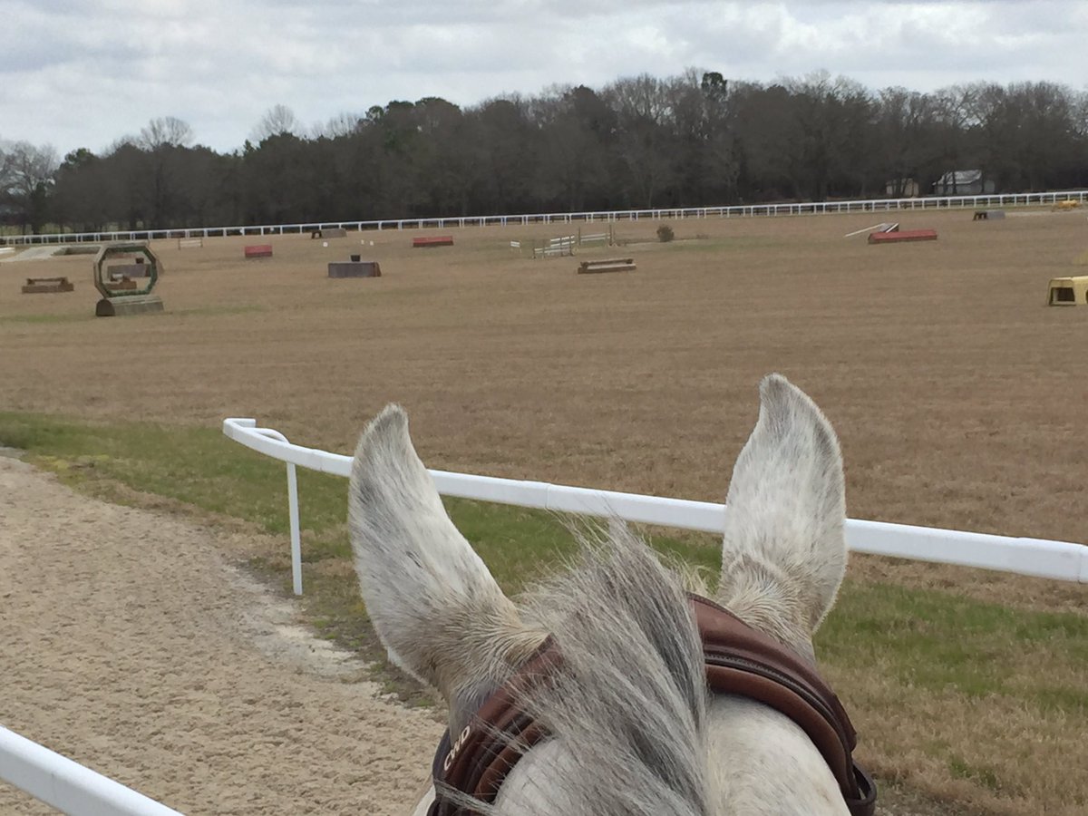 Will Coleman tweet media