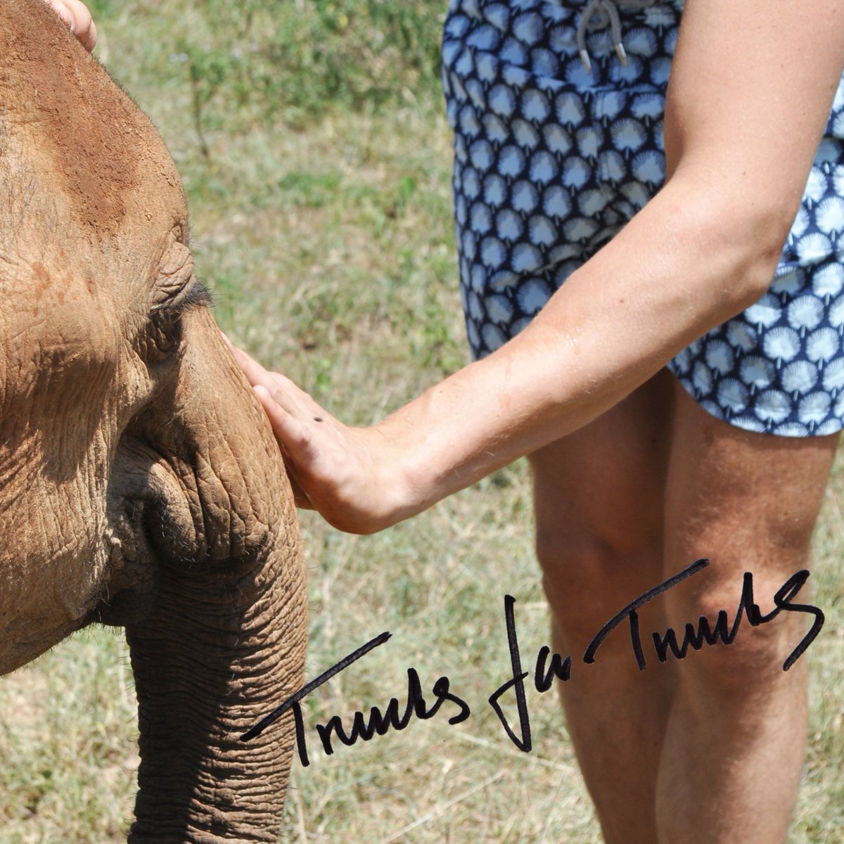 lovebrandco's tweet photo. proudly supporting @dswt @elephantfamily @tusktrust to conserve #endangered species in the wild #TrunksforTrunks https://t.co/CgWkffrTcj
