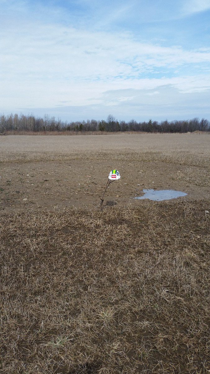 BWS- We can offer EXPERT advice, we're outstanding in the field.#LoveYourLandscape