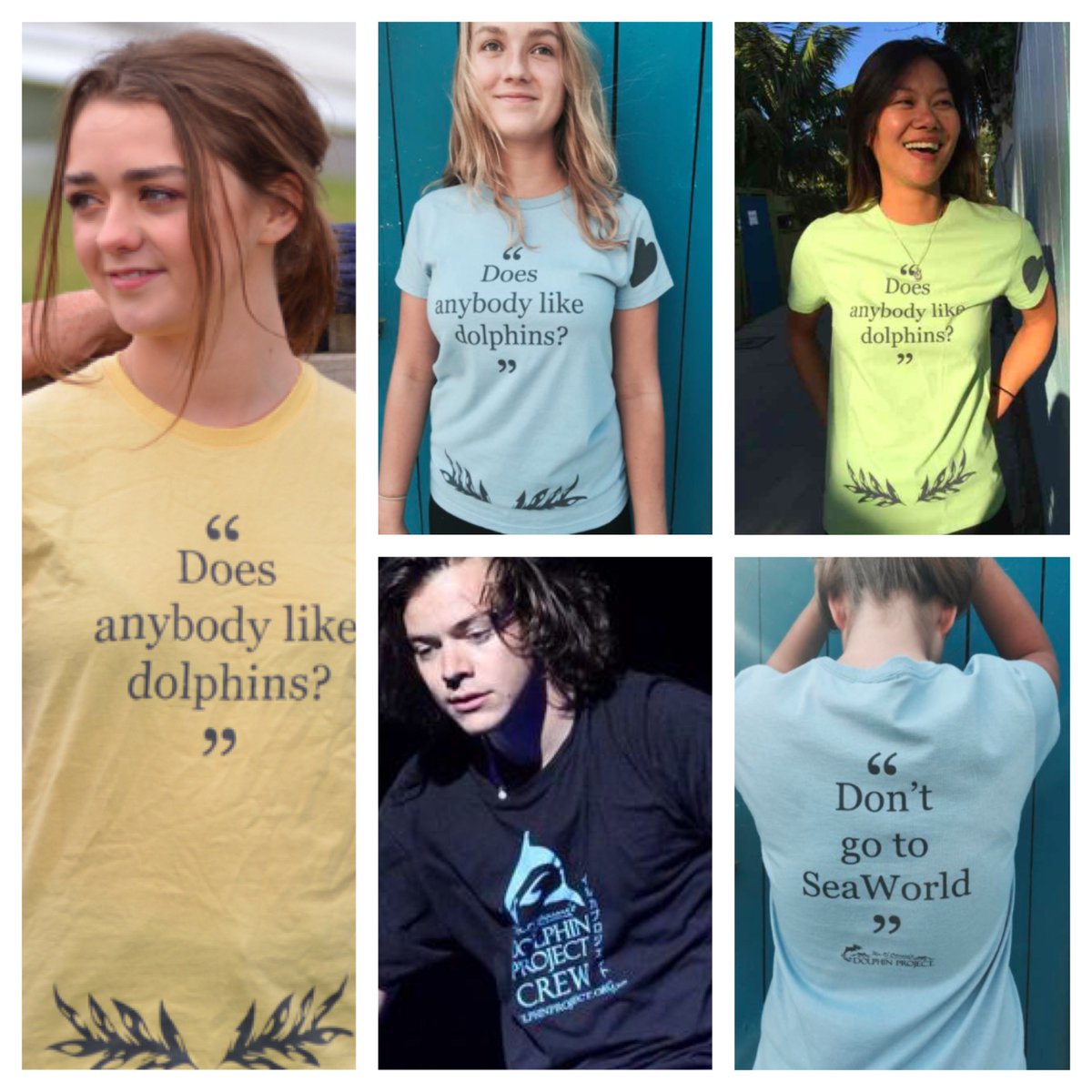 "Does anybody like dolphins?" #DontGoToSeaWorld - <a href="/Harry_Styles/">Harry Styles.</a> 

Shop here: goo.gl/pDzGZ9 #DolphinProject