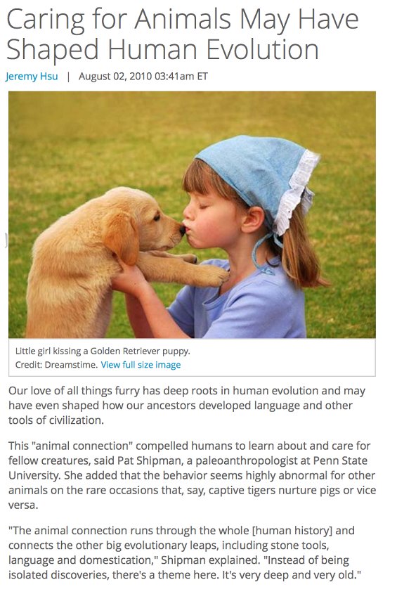 BogiesPetSupply's tweet image. #CatVaccinationsFremont #PuppyTrainingClassesFremont #PetGrooming