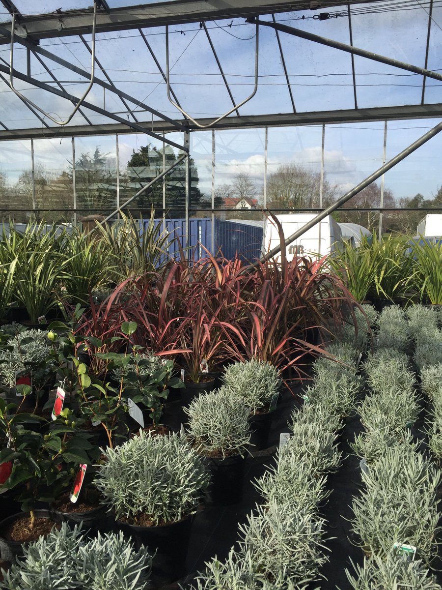 @innergreen2016  Getting ready for the weekend ! Why not come down and take a look at the wide selection of plants