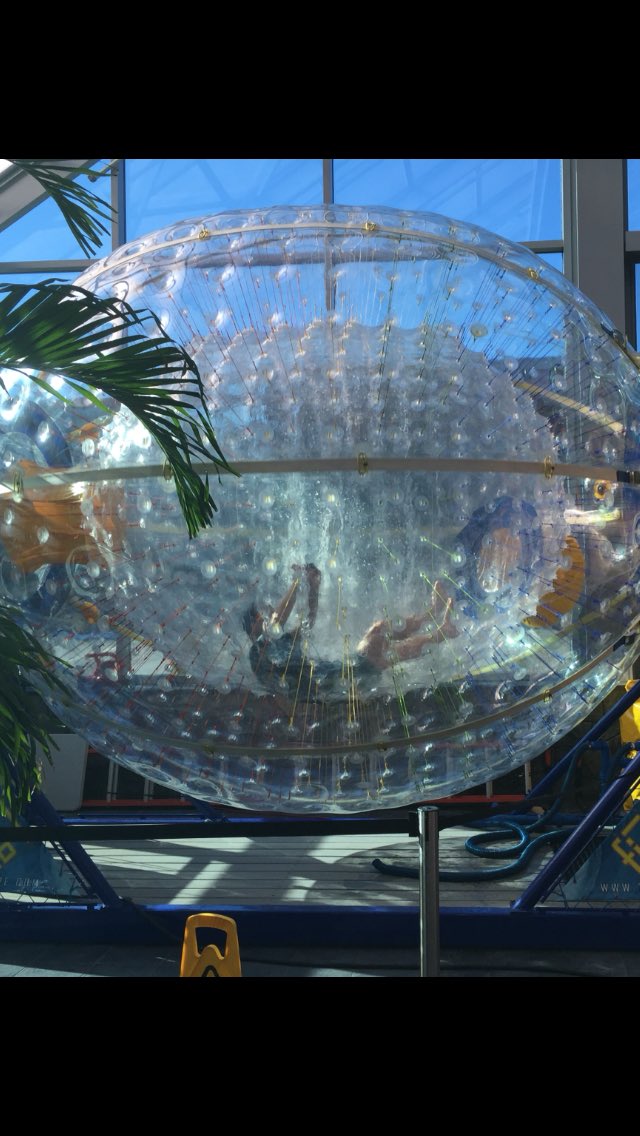 JimmyAltman's tweet photo. On @FOX61News #Daytrippers heads North to surf and roll in the #Fishpipe @skyventurenh #indoorsurfing @jessebhall https://t.co/qJFReQFi3w