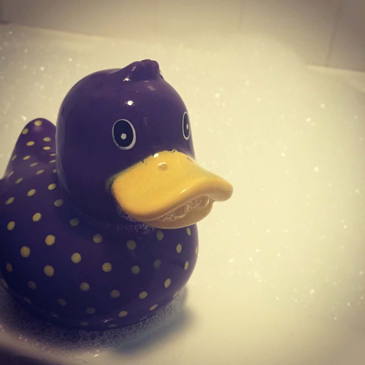 EmmaJonesGB's tweet photo. Ever get the feeling someone's watching you while you're in the bath π³ #MeetDerek ππ½π€ https://t.co/clc7NWJqWd