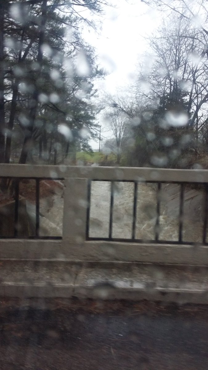The brook in front of my house. MESS
